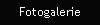 Fotogalerie